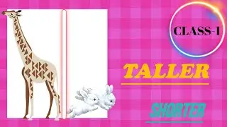 Taller/Shorter| class 1|
