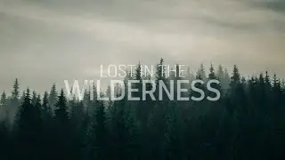 lost in the wilderness - An Indie/Folk/Pop Playlist