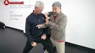 Trailer Indirect 10 Private Sydney Chen Zhonghua Taijiquan Seminar 20251129
