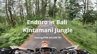 Hard Enduro in Bali jungle with Bali Dirt Bike adventures