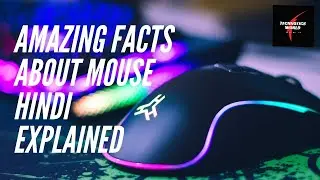 Mouse Pointer Stright Kyo nahi Hota Hai? Mouse Facts  Technoticsworld