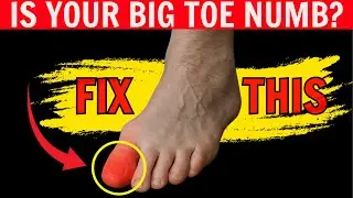 Numbness in Toes After Sitting &ndash; Causes, Circulation Issues & Natural Relief for Seniors