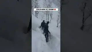 Poter making his own way  #pakistan #tourismindustry #snowfalling #snowstorm #kashmir