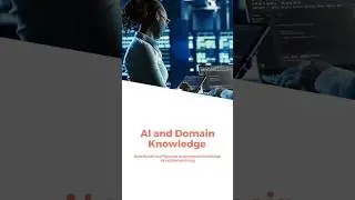 Why Domain Knowledge Matters in AI