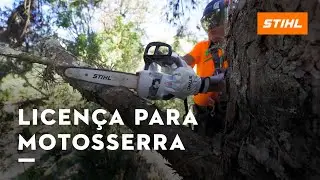 Tudo sobre o REGISTRO DA SUA MOTOSSERRA no IBAMA