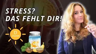 Nahrungserg&auml;nzung bei Stress: Warum Magnesium, VitaminD und Co. so wichtig sind!