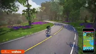 New zwift map - Cruising the Makuri island