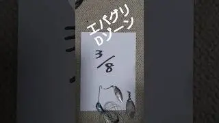 エバーグリーン　3/8　Dゾーン重さ計測してみました。