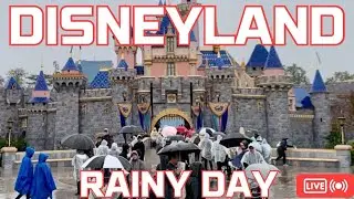 Rainy Days are the BEST Days at Disneyland!