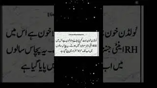 Islamic information 2024 #islam #islamic #Islamicvideo #IslamicInformation