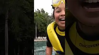 #snorkeling #swimming #discovery #cove #florida #orlando #adventure