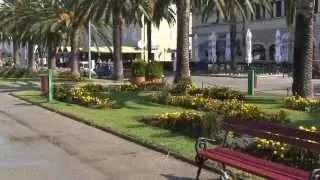Добро пожаловать в Hotel Magnolia Tivat (Отель Магнолия Тиват)!