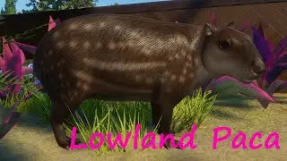 Lowland Paca by bubblywums and GiornoPizza - Planet Zoo Mod
