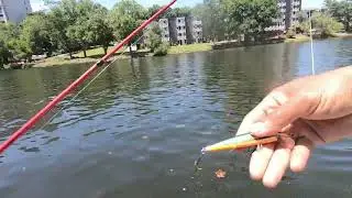 lake Quinsigamond worcester pesca fishing