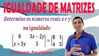 CALCULE os números reais x e y na igualdade de matriz através do sistema: 3x - 2y =1 e x + 3y =4 .
