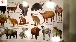 My first board book of wild animals