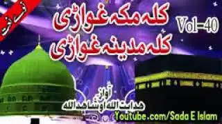 Shamir niazi(7)