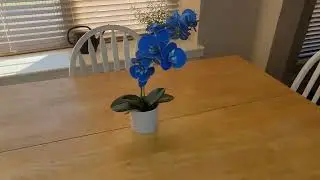 Blue Orchid Artificial Flowers in White Pot &mdash; Stylish Home Decor Find (No Watering!)