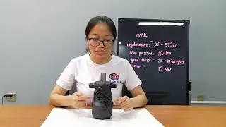Blince Hydraulic OMR hydraulic motor