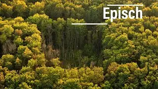 Landschaft | Episch | Entspannung | Drohne