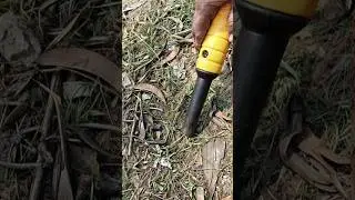 minlab pro find 35 #shorts #short #youtubeshorts #viral #metaldetecting #pinpointer