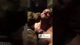 Sexy gay daddy with his dog - men made for chest harness