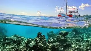 Snorkeling Punta Cana (Best Excursion)