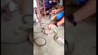 Tuta hua car towing belt repair in 10 mints ! belt kese jode ! easy fix idea