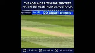 Adelaide Oval Pitch 👀