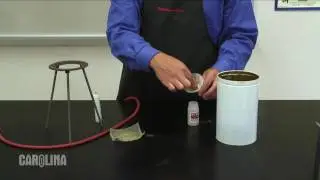 Lycopodium Demonstration Kit