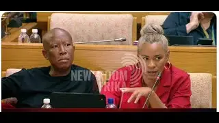 IDAC HEAD FACES QUESTIONS AT SAPS INQUIRY
