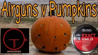 Pumpkin carving airgun challenge