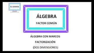 &Aacute;LGEBRA:  (FACTOR  COM&Uacute;N)  4.1.1. CONCEPTOS B&Aacute;SICOS