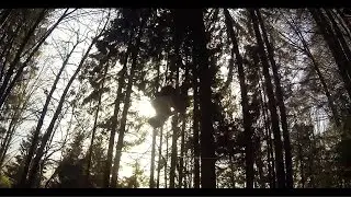 Shadwood Eyewear// inspired by Moritz Purer - Slack Line Artist (short POV compilation)
