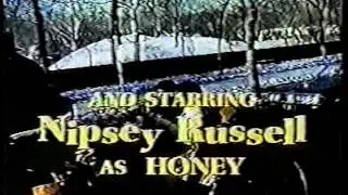 BAREFOOT IN THE PARK opening credits ABC sitcom