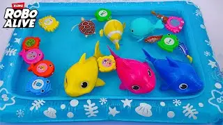 🦈toy asmr🦈 ZURU Robo Alive Baby Shark, Turtle, Fish, Aquarium Fish Tank ASMR 🐊 Satisfying Unboxing