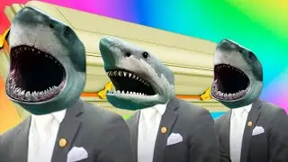 Funny Cute Sharks - Coffin Dance Song (COVER)