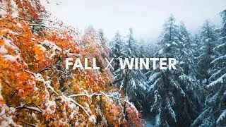 Cinematic FPV - Fall X Winter