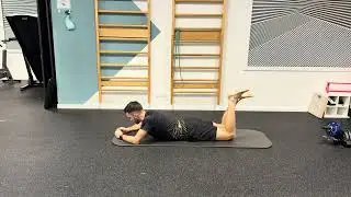 Prone leg curl excentrique 