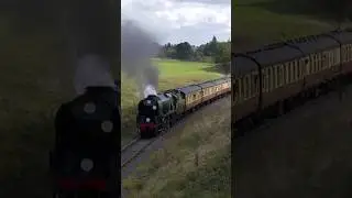 Taw Valley driver goes LARGE on the WHISTLE #train #steamtrain #shorts #shortsvideo
