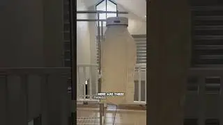 Три вещи, которые вам следует знать об этой портативной сушилке!