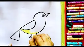 How To Draw Yellow Bird 🐥 Colour Drawing | How to Draw Cute Yellow Bird | बच्चों के लिए ड्राइंग
