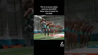 As A NFL cheerleader ! 📣📣