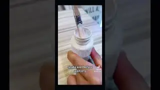 Basic Ant Care 101 👍🏻🐜