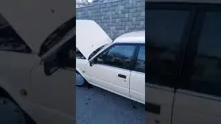Nissan Bluebird