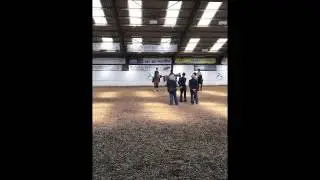 Alex Stevens RDA SEIB Search for a Star Qualifier 23 April 2017