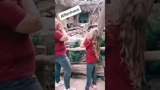 Zoo Besuch #zoo #affen #affenhaus #rufen #antworten #schimpansen #besuch #menschenaffe #fy #f&uuml;r