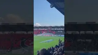 BLACK & RED TIFO 🔥 FC Midtjylland vs S.S. Lazio | Uefa Europa League ⚽️ 5-1 at MCH Arena | #shorts