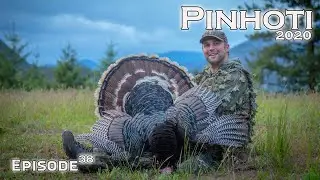 the HARDEST DRUMMING GOBBLER | JUNKYARD MERRIAM'S LONGBEARD | ALL DAY FUN in WA - Pinhoti 2020