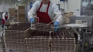 Chocolate makers hike prices as cocoa remains near record highs
